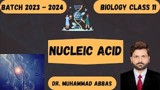 Nucleic Acid The Science Behind DNA [upl. by Okim]