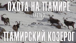 Охота на Памире Часть 2 Памирский козерог Hunt in Pamir Part 2 Pamir Ibex [upl. by Venice]