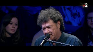 Robert Charlebois interprète en live quotOrdinairequot ONPC [upl. by Halsy]