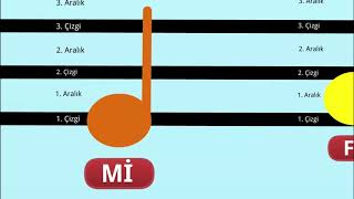 Notaların dizek üzerindeki yerleri [upl. by Leduar]
