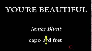 YOURE BEAUTIFUL  JAMES BLUNT 3rd fret [upl. by Gnuhc815]