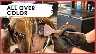 All Over Hair Color – Single Process Color Application With a Bowl and Brush [upl. by Carrew]