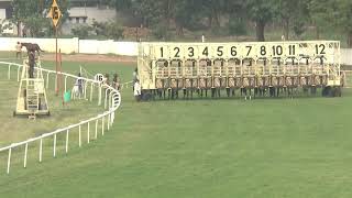 KUSHAQ wins The Bandipur Plate [upl. by Vanderhoek462]