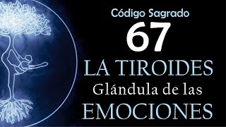 ¡Mantra para que Hoy Equilibres tu Tiroides y Emociones Código Sagrado 67 🙏Meditación Activa 💜 [upl. by Ahsekal]