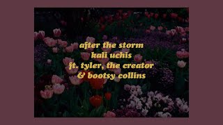 After The Storm  Kali Uchis ft Tyler The Creator amp Bootsy Collins lyrics [upl. by Toomin]