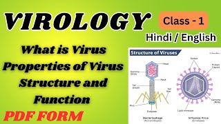 VIROLOGY CLASS 1  Hindi and English  for all medical students [upl. by Zingale]