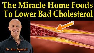 The Miracle Home Healing Foods to Lower Bad Cholesterol  Dr Alan Mandell DC [upl. by Ahtivak402]