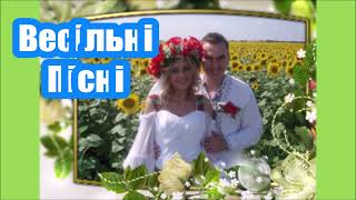 Весiльне Танго💥 Співає Нова Зірка 🤠 Василь Котович 💘 Зустрічайте MobyLife milaraido2 [upl. by Jodee805]