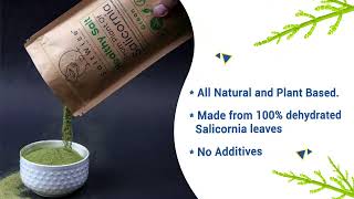 Umami Seasoning Salt  Green Salicornia Salt Made from Plant of Salicornia [upl. by Solohcin]