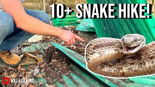 Catching Snakes by the River and Flipping Junk Early Spring Herping in Georgia [upl. by Anneyehc]