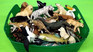 Carnivorous Herbivorous and Omnivorous Animals  Learn Animal Names with Figurines [upl. by Dudley140]