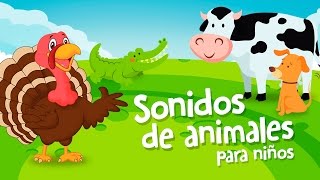 SONIDOS DE ANIMALES PARA NIÑOS DE 1 A 2 AÑOS  NUEVO [upl. by Heer]