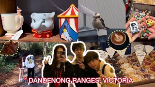 Dandenong Ranges Victoria 🚂 roadtrip 🛣️ [upl. by Hansiain]