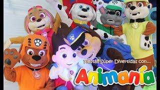 Paw Patrol Intro Latino  Animania Show [upl. by Annodal]