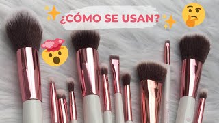 Para que sirve cada brocha de maquillaje ¿realmente necesitas un kit [upl. by Duffy876]