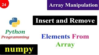 Array Manipulation  Insert and Delete Function  NumPy Tutorials  Python Programming [upl. by Falcone148]