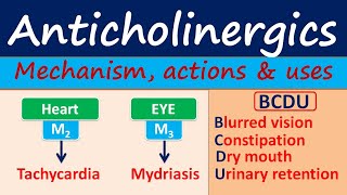 Anticholinergics  Mechanism actions side effects amp uses [upl. by Nalani]