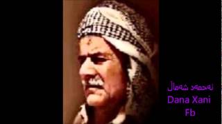 Ahmed Shamal ئەحمەد شەماڵ [upl. by Zahavi]