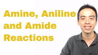 Amine Aniline and Amide Reactions  Organic Chem [upl. by Vallery]