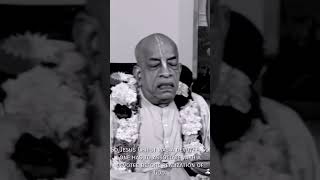 What is relationship between Christ and Krishna 🤔🕉 shorts prabhupada [upl. by Ahtnams]