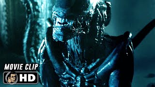 AVP ALIEN VS PREDATOR Clip  quotXenomorph Kills Predatorquot 2004 [upl. by Areht]