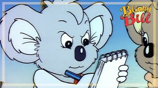 BLINKY BILL AND THE BALLOON  Episode 22  Season 2  The Adventures of Blinky Bill [upl. by Colb]