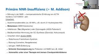 Nebennierenrindeninsuffizienz  NNRI in der Altersmedizin [upl. by Hnoj63]