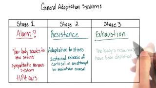 General adaptation syndrome  Intro to Psychology [upl. by Llorrac]