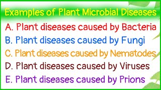 Examples of Plant Microbial DiseasesDiseases caused by BacteriaFungiNematodesVirusesPrions [upl. by Aima]