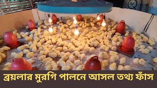 ব্রয়লার মুরগি পালনে আসল তথ্য ফাঁস 2023  polti murgi farm business 2023  উদ্যোক্তার কথা [upl. by Clevie565]