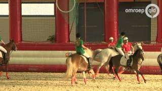 Horseball nieuwe paardensport voor jongeren [upl. by Aihseuqal]