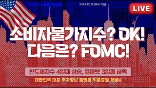 CPI 완화세 옐런 연착륙 발언 국채수요 견조 속 52주 신고가 알파벳 3일째 하락 안석훈의 뉴욕증시 브리핑 231213 [upl. by Ameyn]