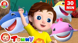 Baby Shark Doo Doo Doo Doo and Top Best 15 Nursery Rhymes  Tommy  Nursery Rhymes amp Kids Songs [upl. by Kopans539]