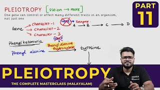 Mastering PLEIOTROPY  Principles of Inheritance and Variations  CLASS 11 [upl. by Laius]