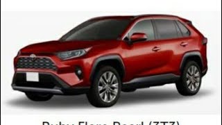 2019 Rav4 Colors [upl. by Yeldah534]