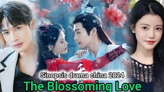 Sinopsis The Blossoming Love Chinese drama 2024 [upl. by Eelyac]