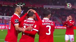 Benfica 50 Marítimo Liga 25ª J Golo de Zivkovic [upl. by Drareg190]