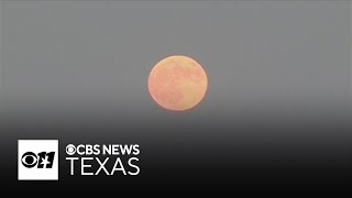 Clear skies in North Texas for partial lunar eclipse [upl. by Fidelia]