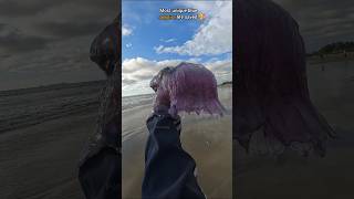 Rescue Mission Saved rare venomous Blue Jellyfish 🥺 [upl. by Naivaj10]