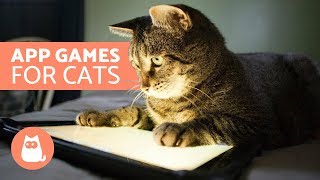 App Games for Cats  Catching mice [upl. by Anidan153]