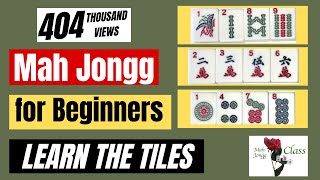 MAH JONGG for Beginners 11  American  Learning the Tiles NMJL Lessons How to Play Mahj [upl. by Etselec775]