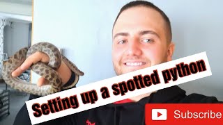 How to set up a spotted python [upl. by Inaboy]