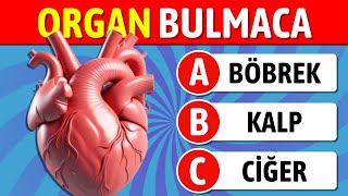 Organ İsimlerini Tahmin Edebilir misin  🤔 Organ Testi  🧠 [upl. by Haslam]