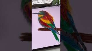 Drawing Process in Procreate  Digital Watercolor Bird shorts procreate tutorial [upl. by Enairda]