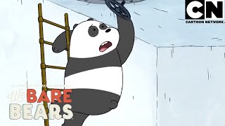 Conoce a Panda un oso con un gran corazón  Escandalosos  Cartoon Network [upl. by Sanoj756]