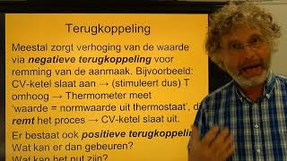 Biologie HV BB Regelkringen en homeostase [upl. by Odradlig]