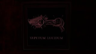 Tapetum Lucidum [upl. by Evilc]