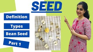 Seeds Structure and Germination Class 9 ICSE Biology Chapter 6 Part 1 Live Example Types of Seeds [upl. by Waki133]