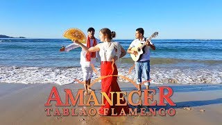 Guajira Hermosisima Cubana  Amanecer Tablao Flamenco [upl. by Iolande738]