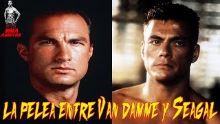 LA PELEA ENTRE VAN DAMME Y SEAGAL   MMA ADICTOS [upl. by Matilde]